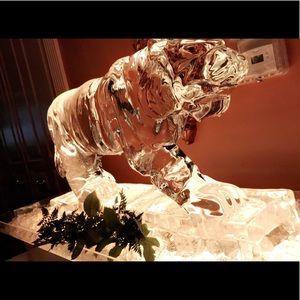 Meet your Posher, Jake